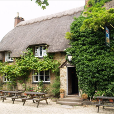 blue boar
